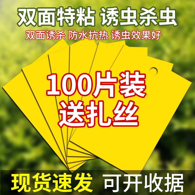 双面防水粘虫板诱虫板黄板蓝板灭虫板果园大棚小黑飞粘板粘蓟马