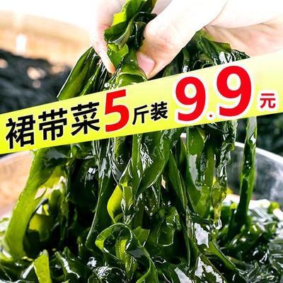 39893/【产地热销】海带盐渍裙带菜海白菜海藻海带丝凉拌菜火锅食材