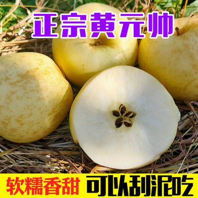 39831/山东烟台黄金帅苹果2斤装(单果75mm起)新鲜水果多仓发货