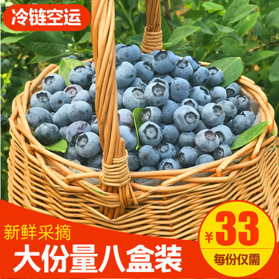 40043/鲜蓝莓果小宝宝专享蓝莓果现摘现发蓝莓甜果护眼佳品