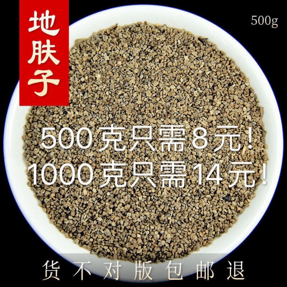 中药材新货纯地肤子500g 新货地肤子地葵千头地麦铁扫把子 2月18日发完 虎窝拼
