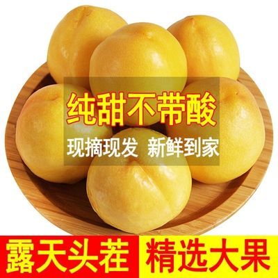 41374/山东黄金油桃现货桃子新鲜脆桃蜜桃黄金桃非毛桃当季孕妇水果批发【6月30日发完】