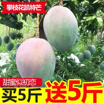 57861/【现货】攀枝花凯特芒果10斤应当季新鲜水果四川特大青皮芒果整箱