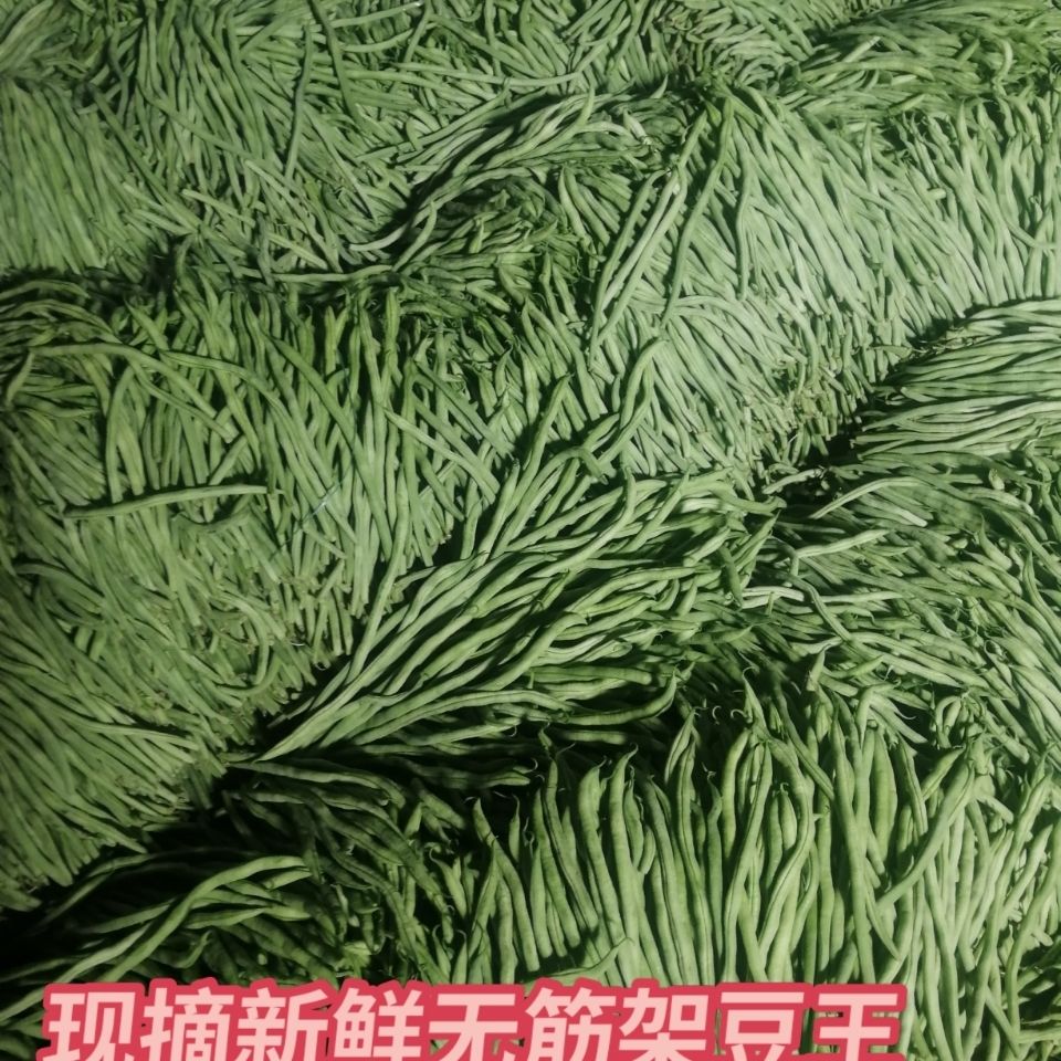 105842-5斤泰国无筋架豆王泰国架豆王无筋豆豆角新鲜现摘现发3斤1斤包邮-详情图