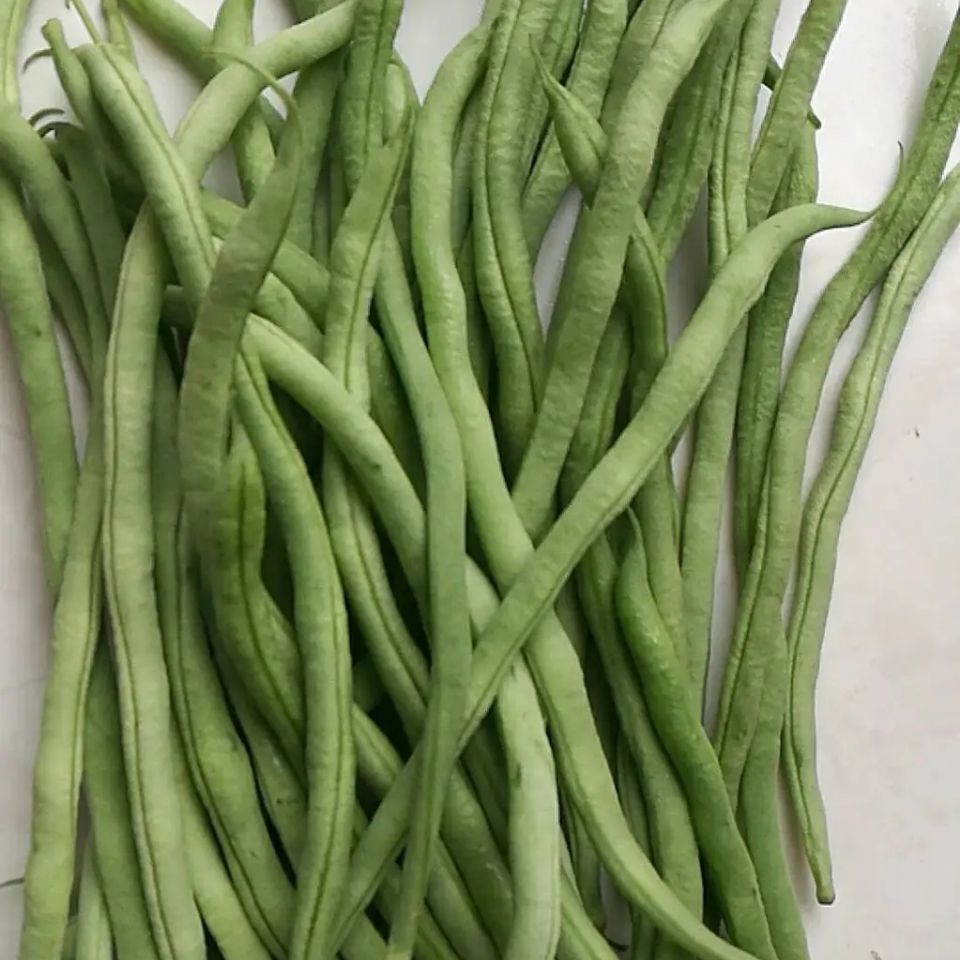 105842-5斤泰国无筋架豆王泰国架豆王无筋豆豆角新鲜现摘现发3斤1斤包邮-详情图