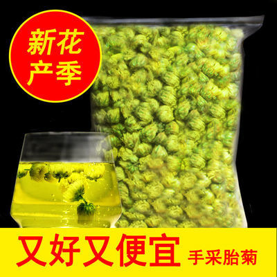 胎菊菊花茶杭菊花白菊新花杭胎菊花散装花草茶组合