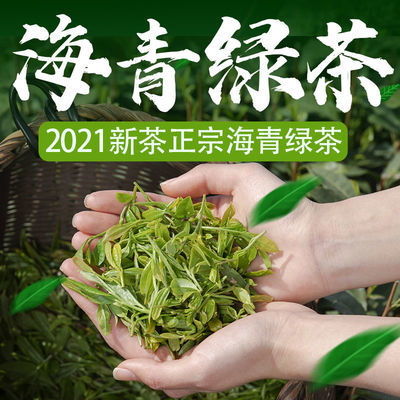 75596/正宗海青绿茶茶叶2021年新茶袋装炒青山东青岛日照豌豆香浓毛尖