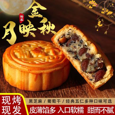57860/五仁广式月饼中秋特价传统五仁黑芝麻葡萄干月饼礼盒散装批发零食