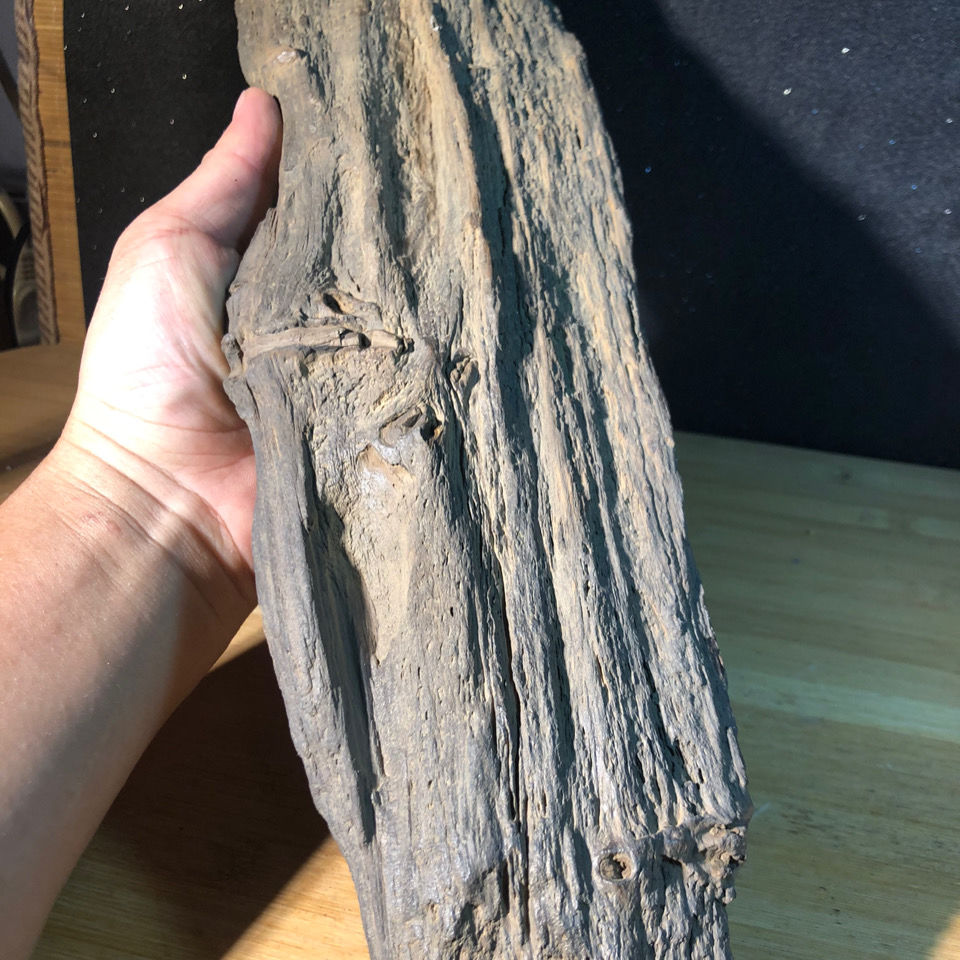 硅化木 原石重量3642克 树化石 纹理清晰 奇石造型观赏石原石摆件