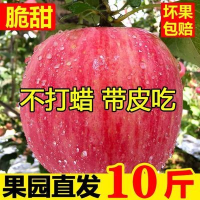 陕西红富士苹果冰糖心10斤整箱批发包邮脆甜多汁当季新鲜苹果水果