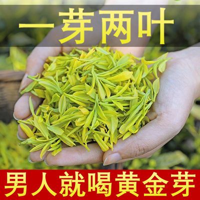 131614/【特级黄金芽】安吉白茶2021新白茶高山绿茶新茶明前茶叶高档罐装