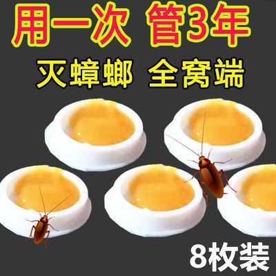 59687/蟑螂药强效全窝端家用无毒一窝端厨房杀虫蟑胶饵除蟑螂粉饵盒特效