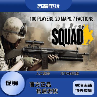 Steam正版PC游戏 Squad 战术小队 行动小组 多人 战术 代购