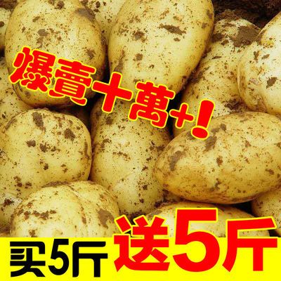 2021土豆 装新鲜土豆马铃薯洋芋黄心土豆 精品土豆批发1斤-10斤