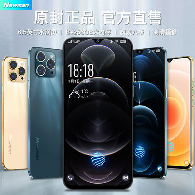 55517/新品纽曼P13Pro八核8+256G大屏全网通便宜学生价游戏百元智能手机