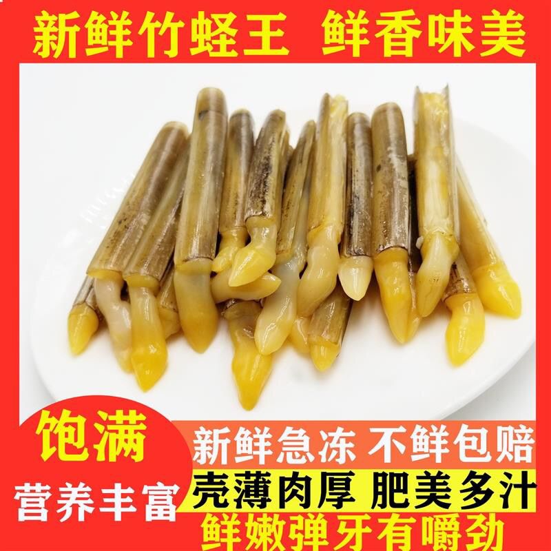 活冻蛏子王批发野生竹节蛏子半斤大蛏螺贝类超大海蛏子双头蛏海鲜