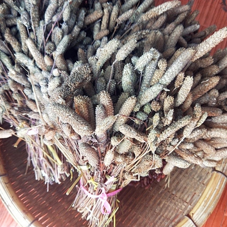 贵州毕节纳雍木姜花20朵 酸汤饭豆花连渣闹蘸水香料木江华木浆花