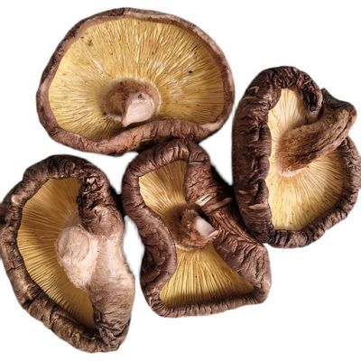 71871/干香菇批发大片香菇干货剪脚无腿厚片香菇农家特产蘑菇肉厚椴木菇