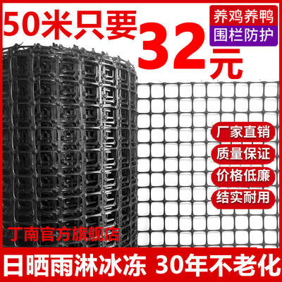 57823/加厚塑料网格围栏网鸡鸭鹅养殖漏粪网户外果园玉米圈地隔离防护网