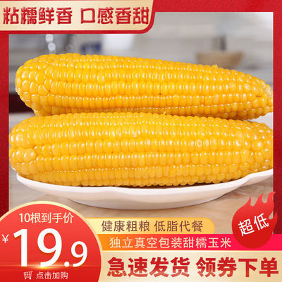 东北特产新鲜黄糯玉米棒玉米粒甜糯粘玉米水果玉米真空包装代餐