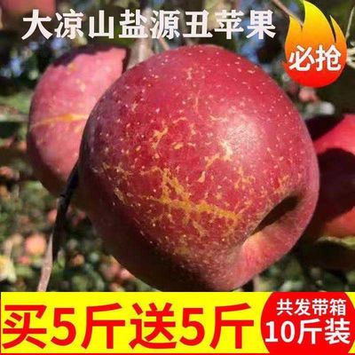 【正宗大凉山冰糖心丑苹果】新鲜水果当季红富士10/5/2斤现摘发货