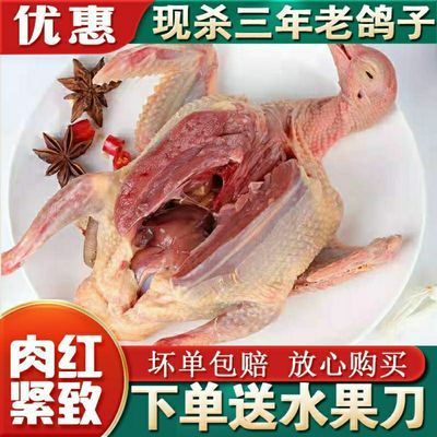 生肉 肉制品鸽类 报价图片品牌优惠券 鸽类折扣商品大全 3 虎窝拼