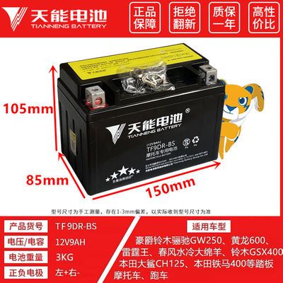 天能摩托车电瓶YTX9-BS黄龙600/300光阳250贝纳利GW25012V9A电池