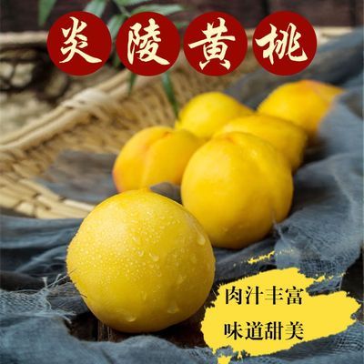 57792/炎陵黄桃正宗湖南株洲炎陵高山红心黄桃当季水果现摘现发农户直达