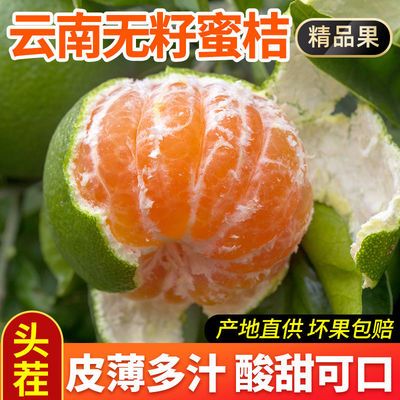 现摘云南蜜桔桔子橘子早熟青皮柑橘新鲜应季孕妇水果包邮5/9斤