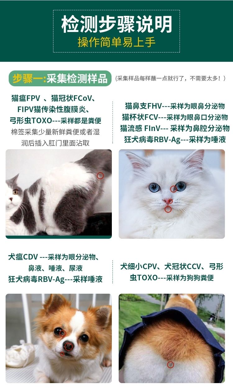 火馬】貓鼻支試紙貓瘟試紙貓冠狀貓傳腹試紙貓瘟貓咪檢測貓流感貓疾病 