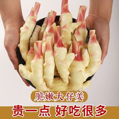 56377/山东嫩姜新鲜生姜仔姜子姜鲜姜腌制泡姜红芽姜黄姜大姜新姜老母姜