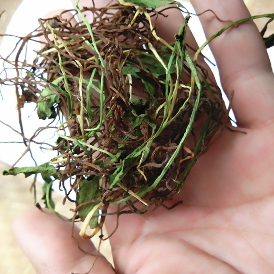 干货野生一支箭草药 蛇舌草中药材蛇吐须青藤瓶尔小草500克农产品