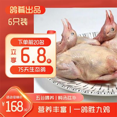 生肉 肉制品鸽类 报价图片品牌优惠券 鸽类折扣商品大全 3 虎窝拼