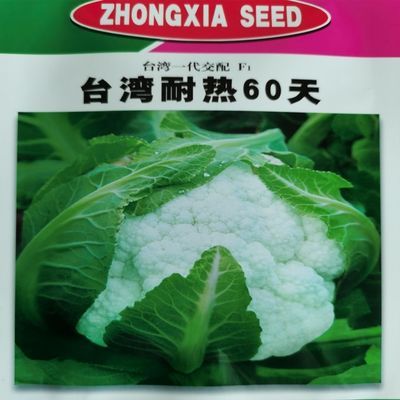 中厦台湾耐热花椰菜60天70天花菜菜花 种子 高产夏季秋季蔬菜种籽