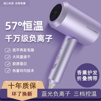 55599/吹风机家用静音大风力吹头发宿舍专用大小功率电吹风筒负离子护发