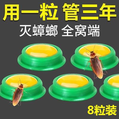 63029/蟑螂药强效家用无毒一窝端一扫光方便贴厨房卧室蟑螂克星灭虫神器