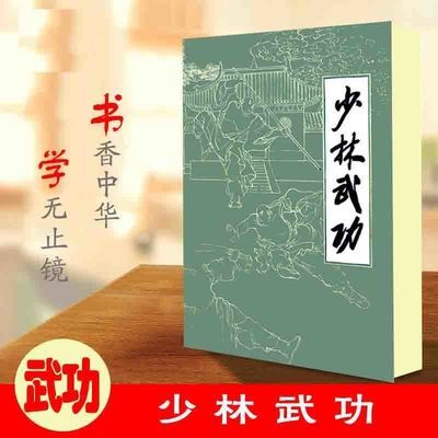 少林武功 武术功夫拳法器械套路秘籍 中华 传统功夫书籍