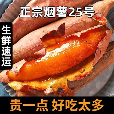 【正宗烟薯25号】红薯新鲜农家小番薯烤地瓜批发价沙地糖心红蜜薯