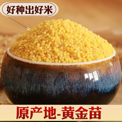57565/黄小米新米早餐粥养胃米批发赤峰大金苗2斤粗粮绿色主食月子米