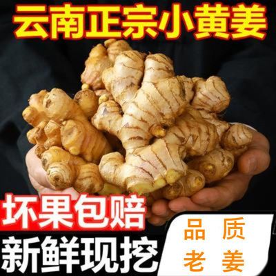 75858/生姜精选云南小黄姜老姜新鲜现挖生姜新姜月子姜老姜新鲜蔬菜嫩姜