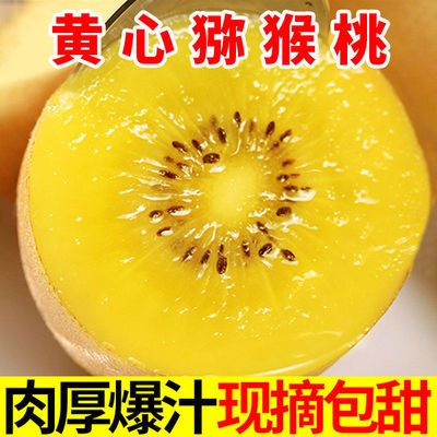 57696/黄心猕猴桃新鲜水果奇异果水源心农整箱应季大果猕猴桃包邮