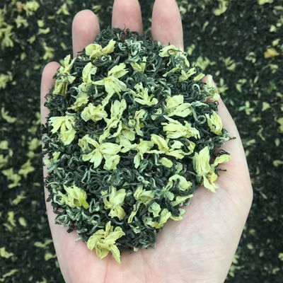 正宗四川飘雪特级茉莉花茶2024新茶浓香型耐泡散装花毛峰茶叶