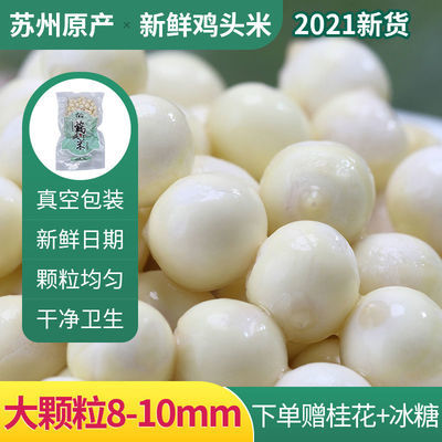 75960/【2021新货】大颗粒鸡头米新鲜苏州正宗芡实去湿气食品非干货