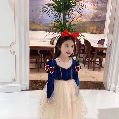 109771/童装2020秋装新款女童丝绒网纱裙女宝宝纱裙白雪公主长袖