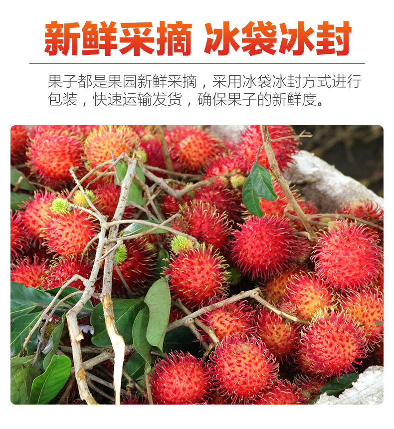红毛丹当季新鲜海南毛荔枝热带孕妇水果毛丹果