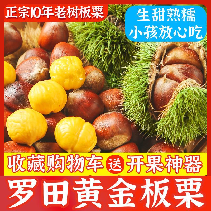 壁纸 矢量 水果 小果 植物 800_800