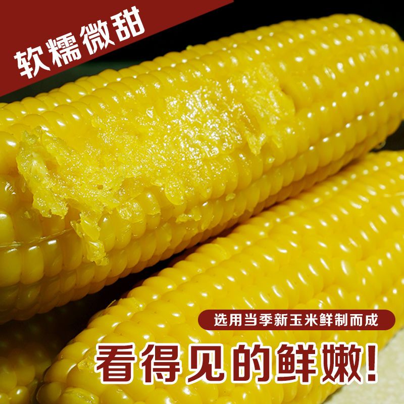 新鲜黄糯玉米棒8根10根21年真空东北粘糯玉米甜糯玉米批发黏苞米