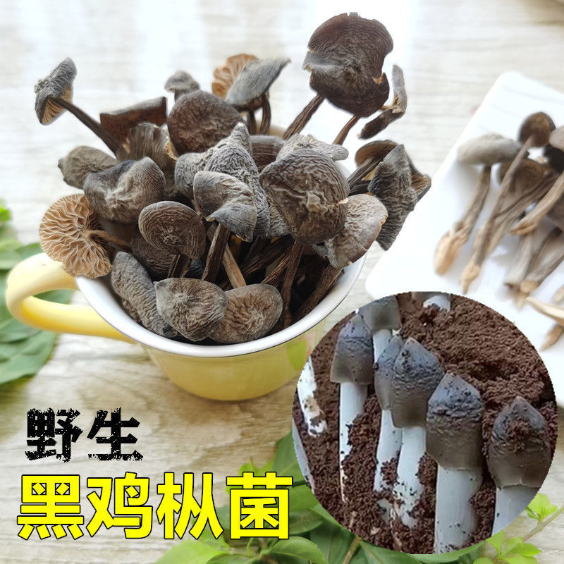 野生鸡枞菌干货云南特产山珍新鲜干深山黑皮鸡枞菌香蘑菇煲汤材料