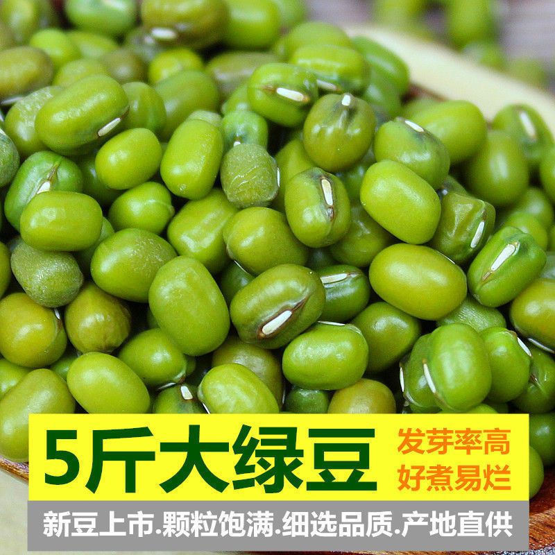 大粒绿豆5斤农家大绿豆可发新鲜豆芽绿豆汤绿豆粥绿豆糕原材料50g