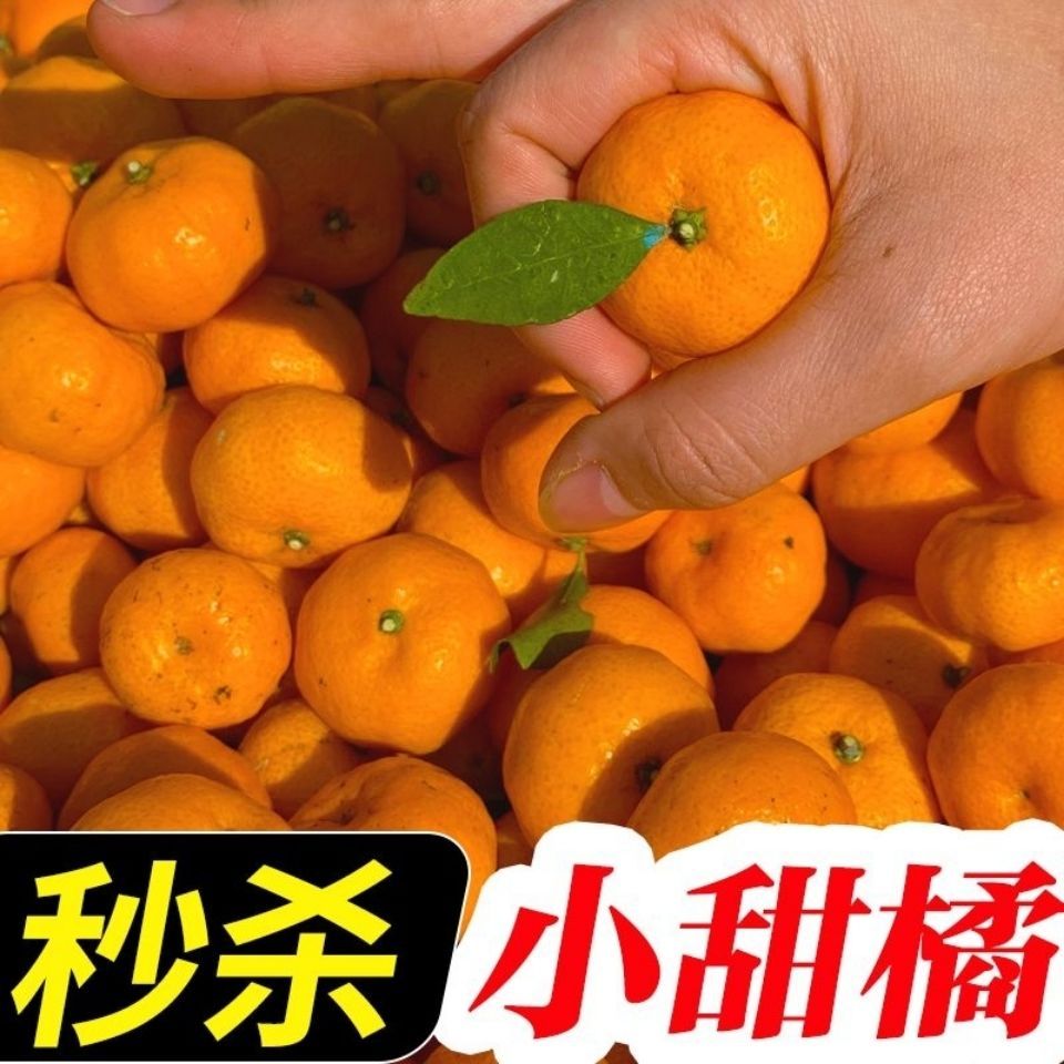 江西正宗南丰蜜桔薄皮超甜贡桔新鲜水果应季非砂糖橘沙糖桔小橘子